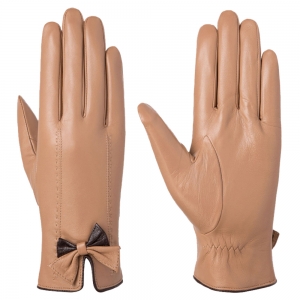 Dressing Gloves
